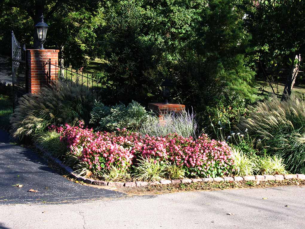 Ladue Entrance Plantings with Annuals