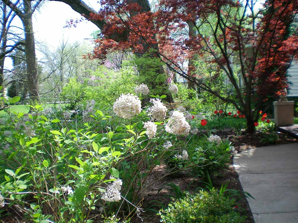 Ida's Garden - Spring Flowers by Entrance Walk